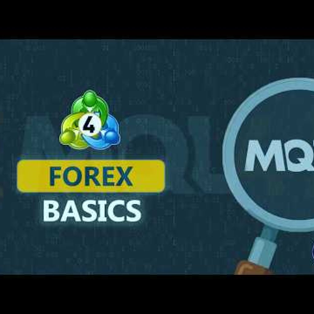#2 Forex Bot Development For Beginners | Forex Basics