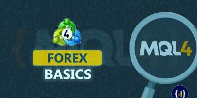 #2 Forex Bot Development For Beginners | Forex Basics
