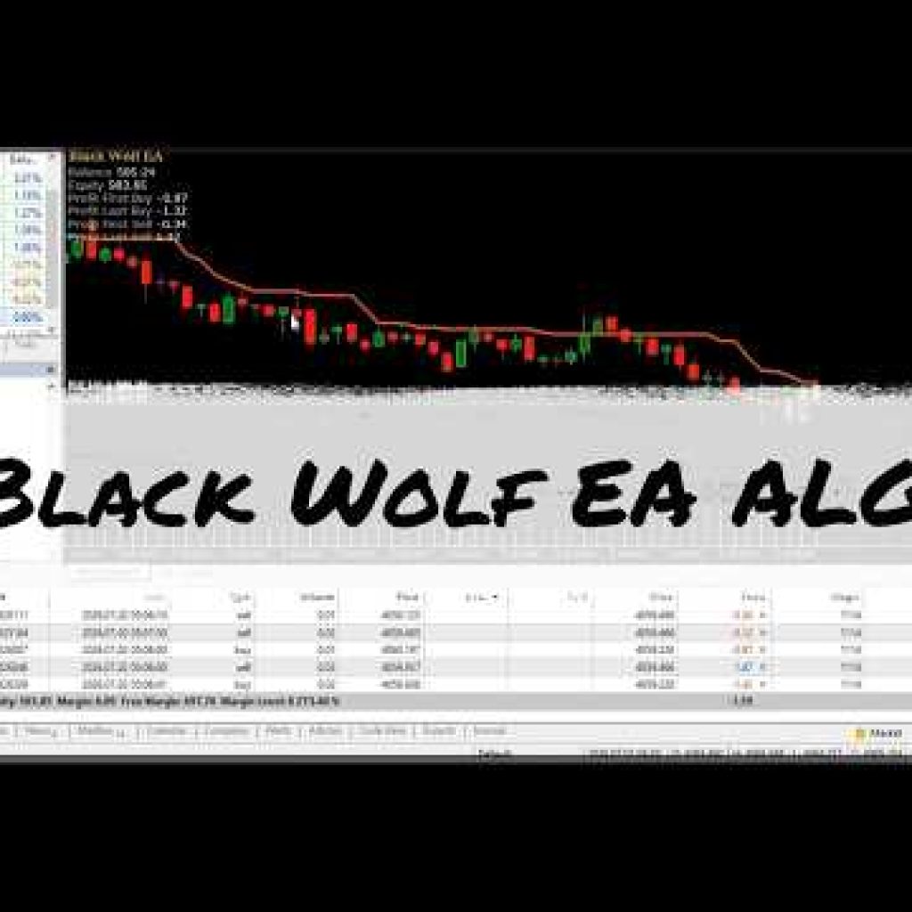 Want a Custom Forex EA? Black Wolf EA Explained MT4/MT5 | Black Wolf EA Review | Custom Trading Bot