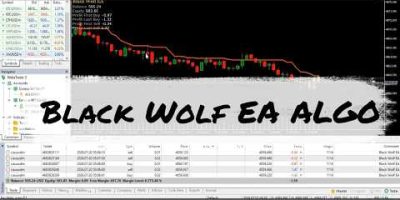 Want a Custom Forex EA? Black Wolf EA Explained MT4/MT5 | Black Wolf EA Review | Custom Trading Bot