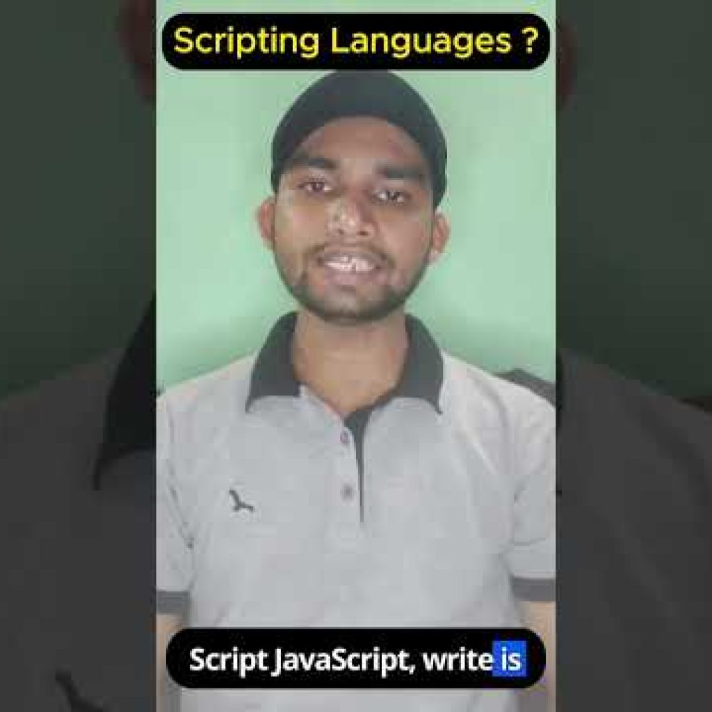 What is a Scripting Language? Explained