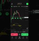 The Live Streaming in Fixed Time Trade Trading in Crypto Index by using Kine Martin strategies