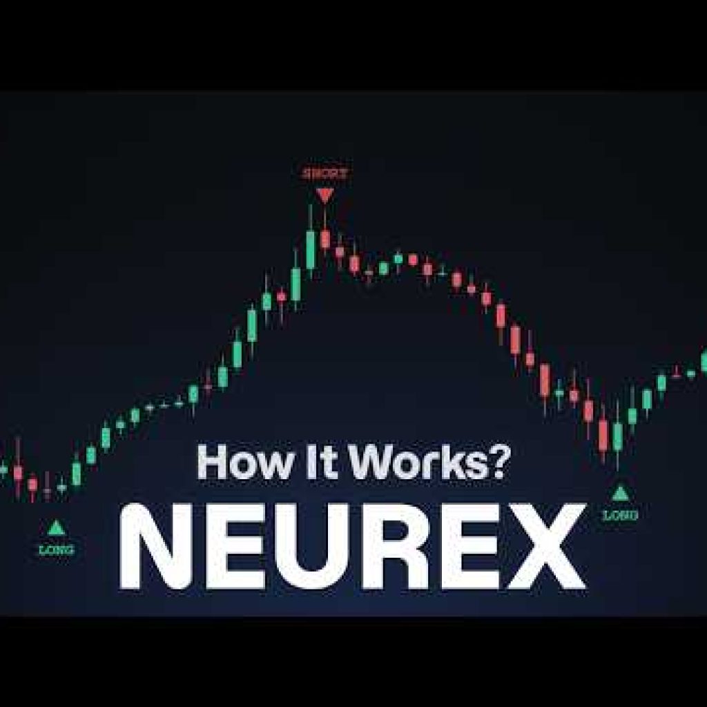 We Built a Neural-Network to Beat Market Noise