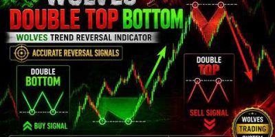 🔥 Wolves Double Top Bottom Indicator FREE | Best Reversal Signals MT4 #trending #forex