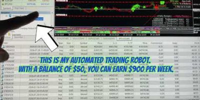 This Trading Robot Starts with $50 and Targets Daily Profits