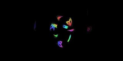 Lorenz Attractor Art — Chaos Projected Through a Custom Lens — manic