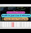 AI Forex Robot Makes Money While You Sleep | MT5 Live Trading#forex #trading #success #forextrading