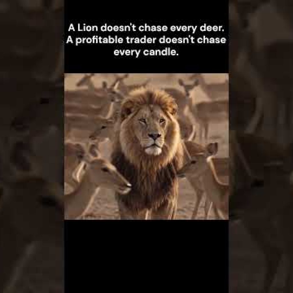 The Mindset of a Profitable Trader 🦁📈 #trading #cryptotrading#stockmarket #nifty #forex  #tradesetup