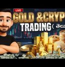 BTC, NASDQ, XAUUSDD, MARKET ANALYSIS #btc #nas100 #xauusd #forex #crypto #trading #stockmarket