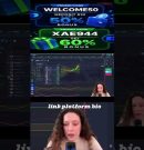 12. AI Trading Bot Strategy For Pocket Broker 2026