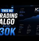 This NQ Trading Algo Made $30K YTD With 1 Contract…