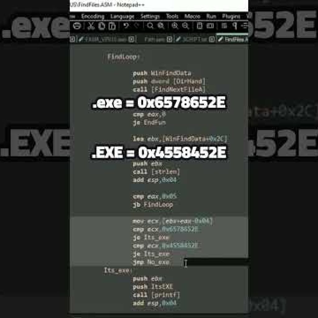 ☠️ Assembler VIRUS in ACTION ‼️
