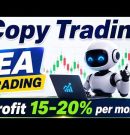 Copy Trade Forex EA  Trade XAUUSD | Target 15 -20% Per Month | Live Trade 10 Aug