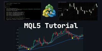How to Code a Trading Bot in MetaTrader 5 (Full Tutorial) β Expert Advisor from Scratch