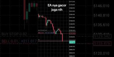 🔥 Limited slots! Auto-trading EA for MT5. Join now and let the robot earn for you. 💰⚡