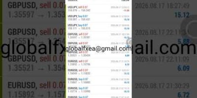 EA trading | 8/17/2026 ( Yesterday ) Expert Advisor | ROBOT | Auto Trading | Software | forex bot