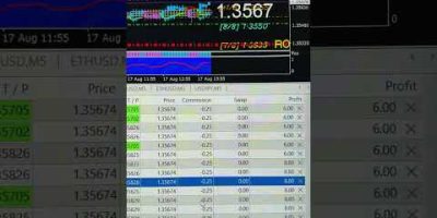 Robot Trading With a Small Account: I Made $17,000 USD+ Today #shorts #shortsvideo #trading #crypto