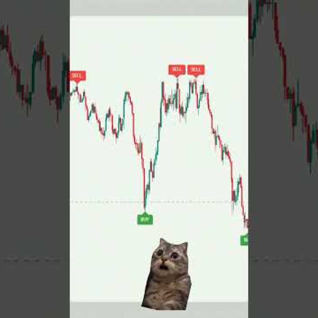ADVANCED TRADINGVIEW INDICATOR for Quick Market Reads — DON’T SKIP THIS final wm text