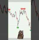 ADVANCED TRADINGVIEW INDICATOR for Quick Market Reads — DON’T SKIP THIS final wm text