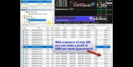 Fast Trading Robot LIVE: Real Account Results #shorts #shortvideo #trading #crypto