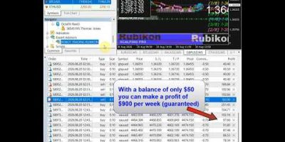 Fast Trading Robot LIVE: Real Account Results #shorts #shortvideo #trading #crypto