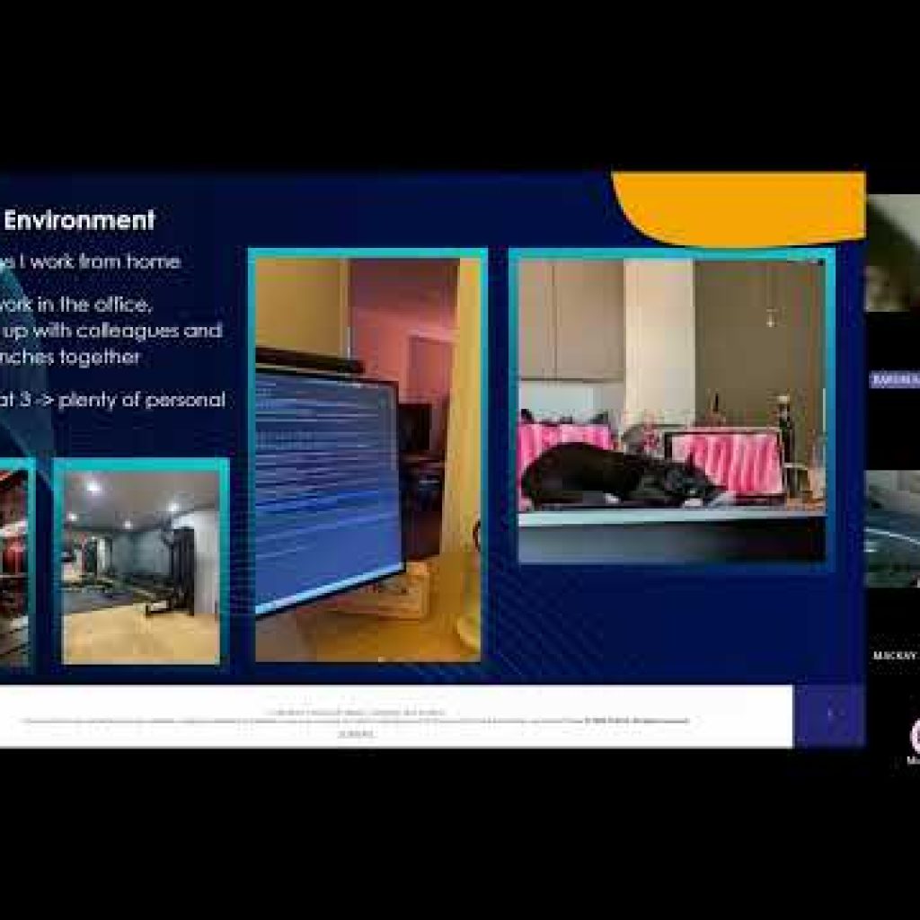 Software Engineering Introduction: Thales STEM Summer, Session 3
