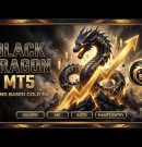 Black Dragon EA MT5 Review | Advanced Trend-Based Gold Trading Robot