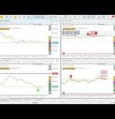 Live Bot Trading
