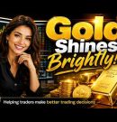 Gold trading results shine in August. See the live account strategies & settings used. Join the Fun.