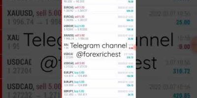 Live AI Forex EA Bot | Real Account Setup, Strategy & Automation