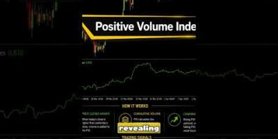 Price Volume Index #trading #btc #forex #crypto #gold #xauusd #eurusd #cryptotrading #priceaction