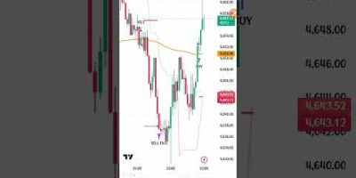 Make Your First $1k From Trading Using Automated EA Trading Bot