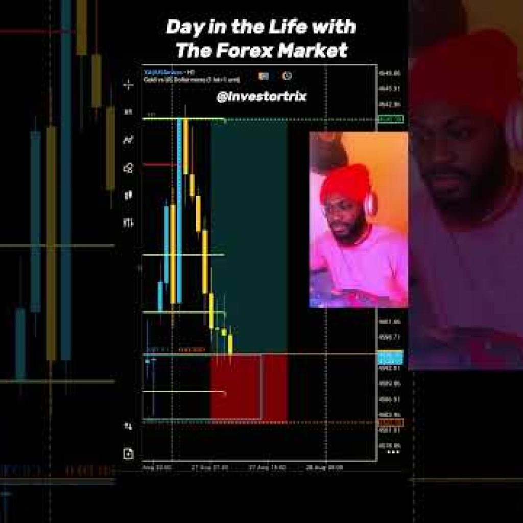 ๐๐๐ Day in the life with the forex market #funny #comedy #forex #viral