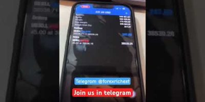 Auto Trading Bot for Forex & Crypto | EA Setup for MT4, MT5 & Mobile