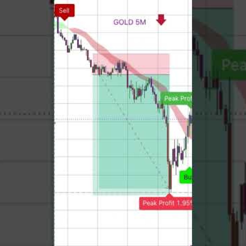 Bitcoin & Gold Live Chart 24/7 | Buy/Sell Signals