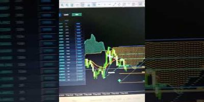 MetaTrader 5 Tutorial: Automated Harmonic Scanner for Beginners