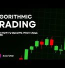 Algorithmic Trading ! Learn How to Become Profitable in Trading Using Algos