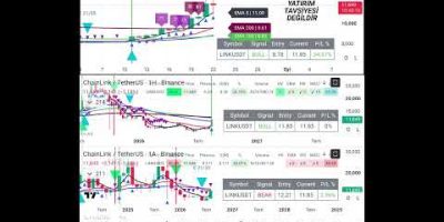 Linkusdt 22082026 16 11 #stockmarket #trading #trader #crypto