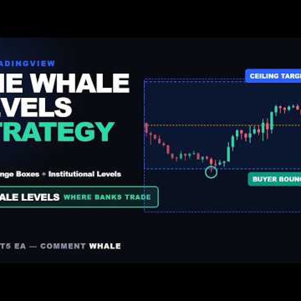 The Whale Levels Strategy On TradingView — 2-Day Range Boxes 🐋