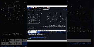 Detecting a Web Application Firewall (WAF)