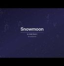 Vitalik Buterin – Snowmoon