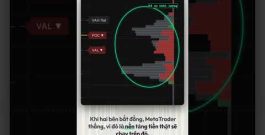 Cách kiểm chứng engine backtest khớp với MetaTrader 5
