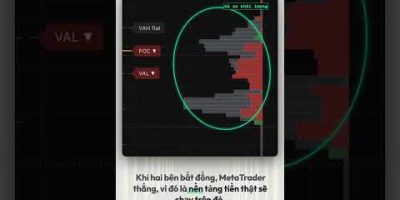Cách kiểm chứng engine backtest khớp với MetaTrader 5