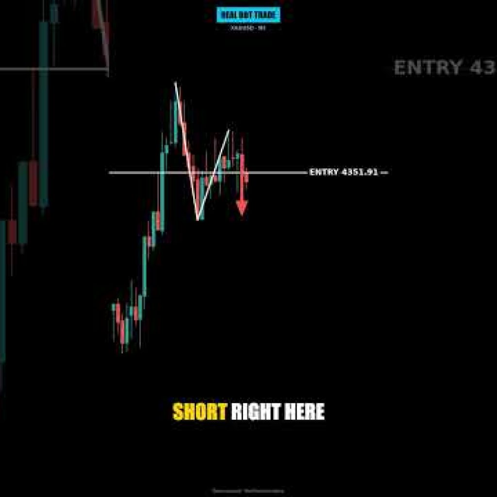 My bot went short with a 930 point stop. Would you?
