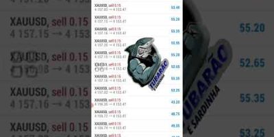 Trading invest fx forex EA robot