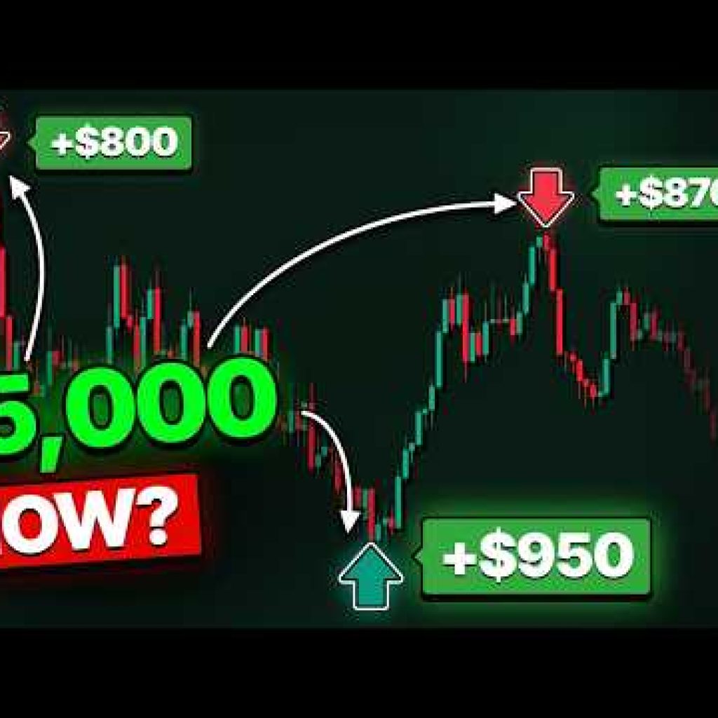 The BEST Reversal Indicator on TradingView (3x Accuracy with SECRET Rule)