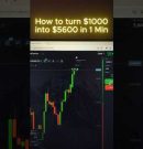 🤖🔥 Pocket Option OTC — Discover a New Way to Explore Trading Signals!