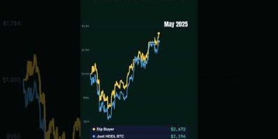 Dip Buyer turned $1,000 into $2,524 (Bitcoin since the 2022 crash) #shorts