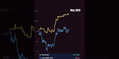 TURTLE trading Solana since the 2022 crash #shorts